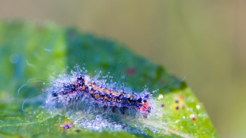 任意整理は何社まで可能なのか？