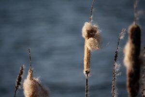 多重債務の解決方法にはどのような選択肢があるのか？