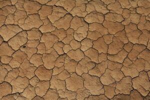 任意整理の分割回数はどれくらいが適切ですか？