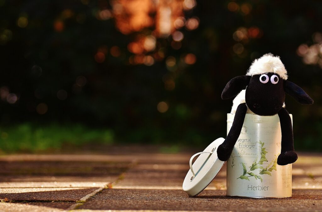 楽天カードの任意整理はできるのか？