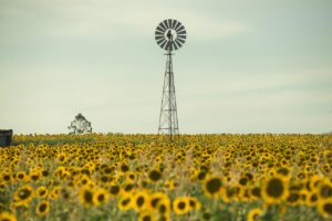 任意整理は誰でもできる方法とその手続きについて知りたい？